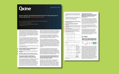 Download: Application note – Species-specific and optimized growth factors for the production of bovine and porcine cultivated meat and fat by Qkine