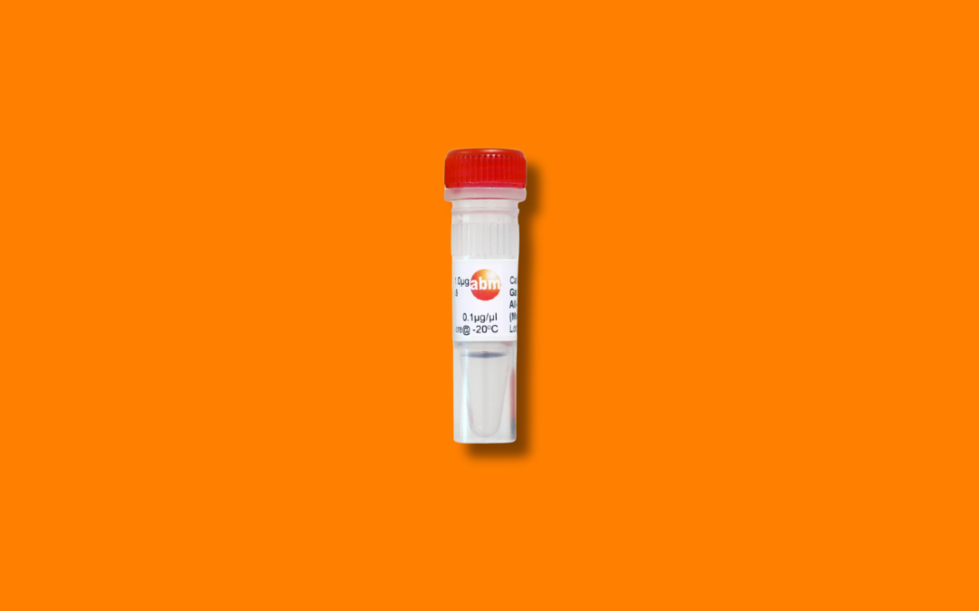 Introducing Primary Cells by abm