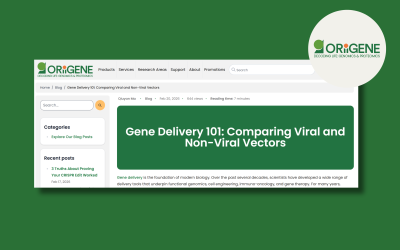 Gene Delivery 101: Comparing Viral and Non-Viral Vectors